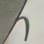 whatsapp image 2025 09 01 at 18.20.51 1.webp